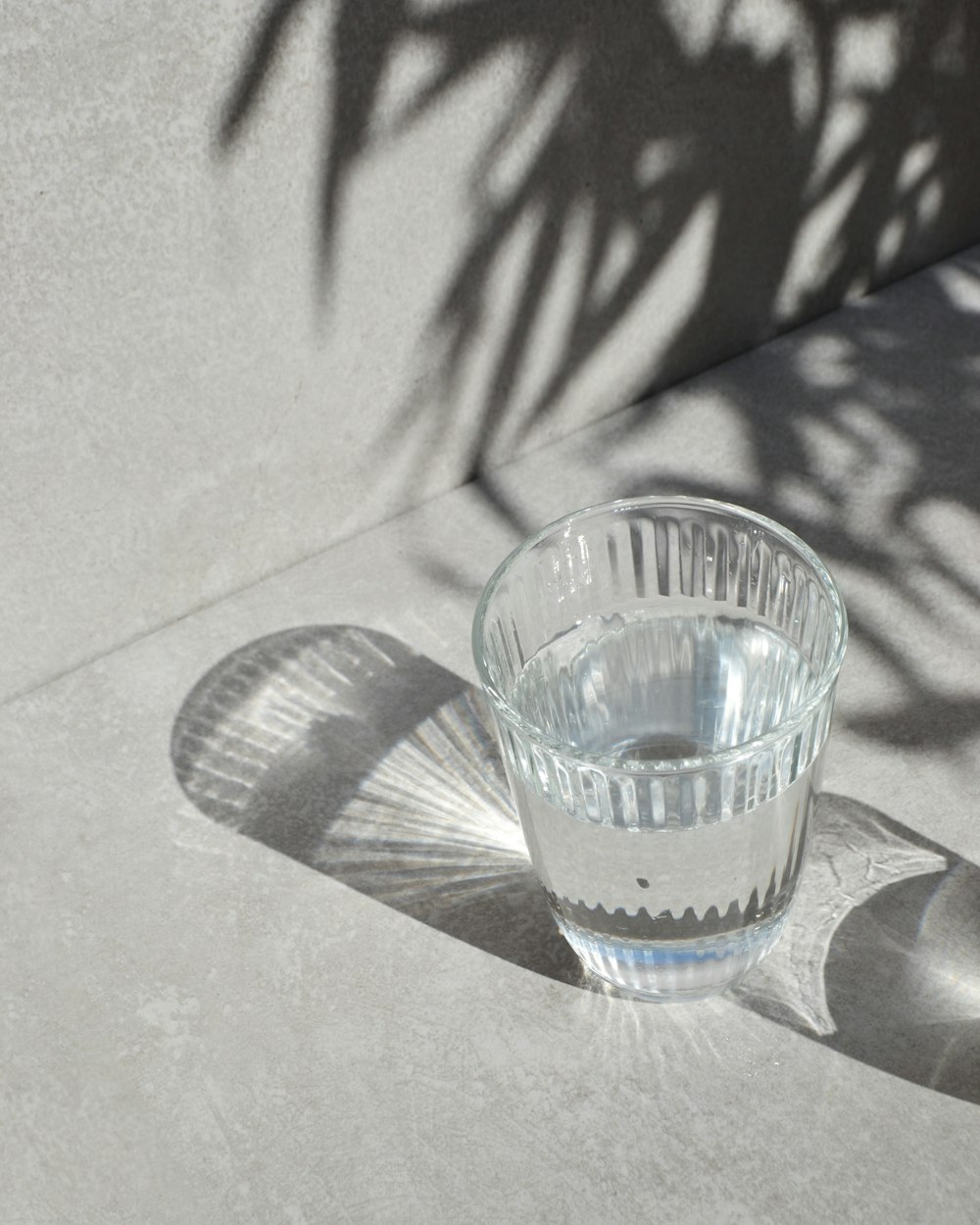 A glass of water casting shadows in sunlight